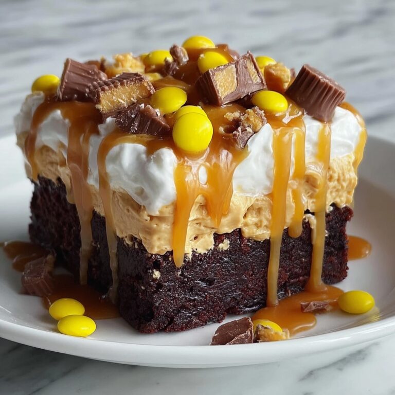 Chocolate Peanut Butter Poke Cake Recipe